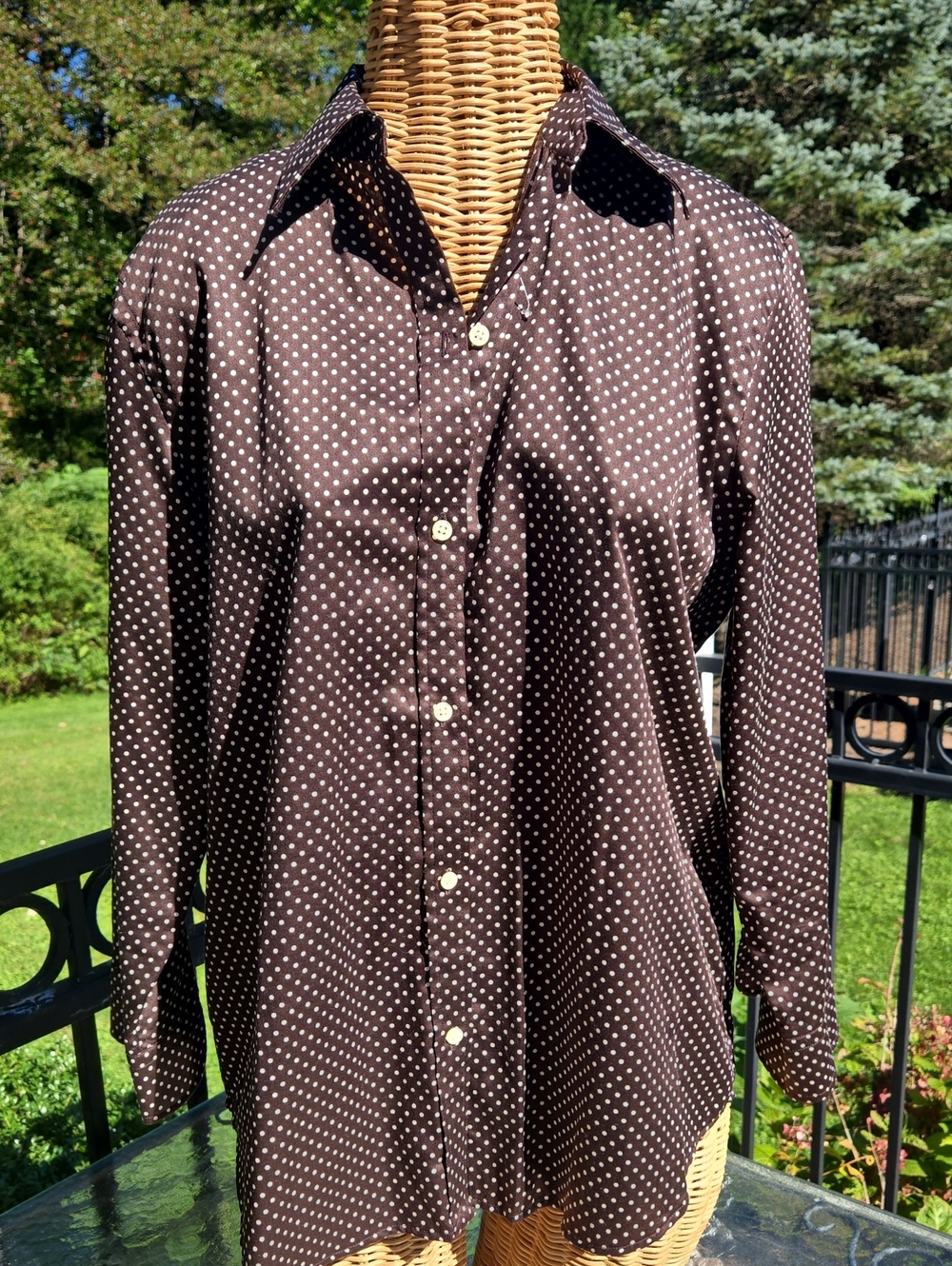 Ralph Lauren Brown Polka Dot Button-Up Shirt